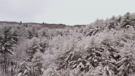 low slow aerial of a snow covered forest that reveals a lake and mountains in new england