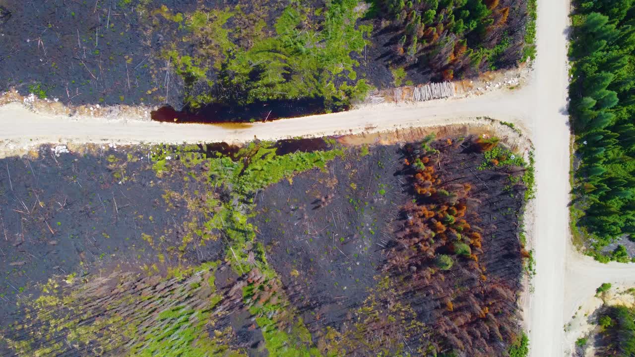 Aerial Birds Eye View Of The Wildfire Devastation In Lebel-Sur-Qu&eacute;villon Of Charred Forest Landscape