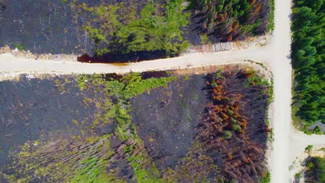 aerial birds eye view of the wildfire devastation in lebel-sur-quévillon of charred forest landscape