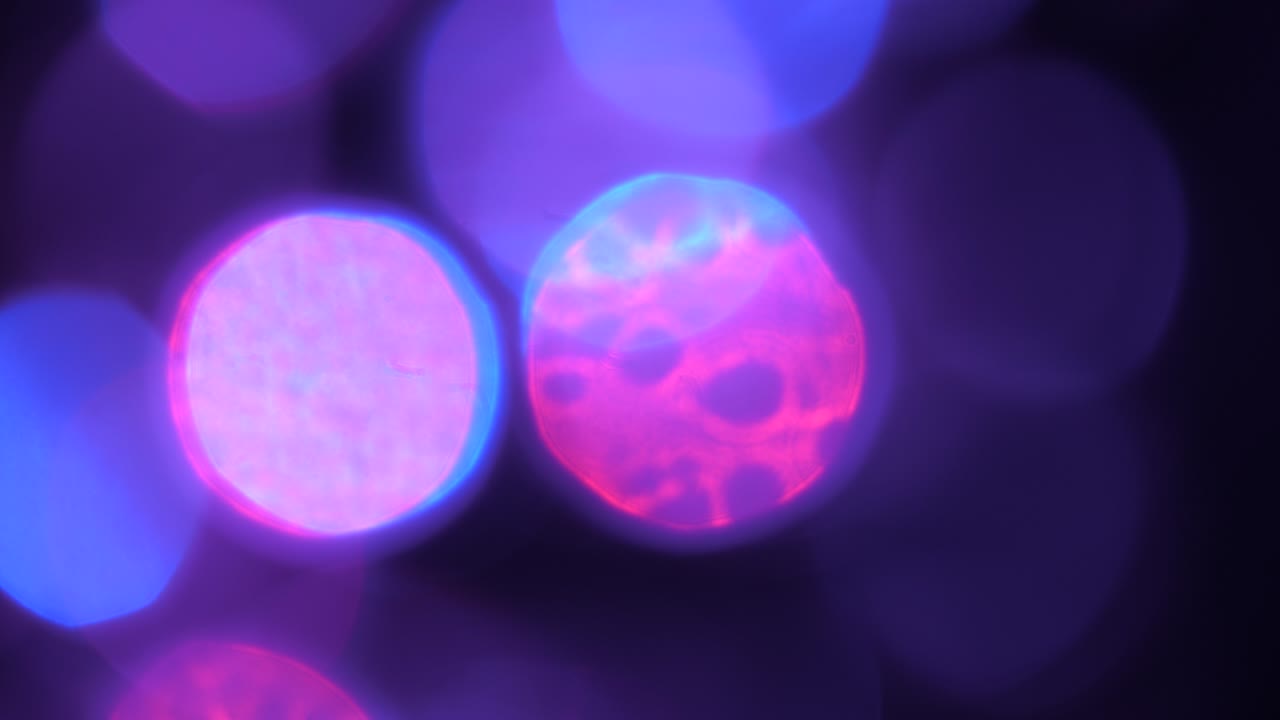 Effetto bokeh con cerchi di luce sfocati viola in movimento