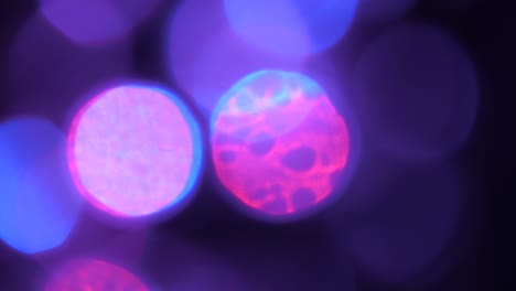 purple blurry light circles bokeh effect moving around