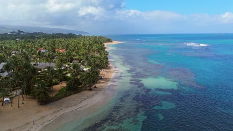 aerial flyover playa las ballenas with tropical palm trees and sandy beach. coral reef and walking people in summer. aerial forward wide shot.
