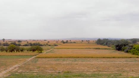 beautiful agricultural video during a beautiful sunny day