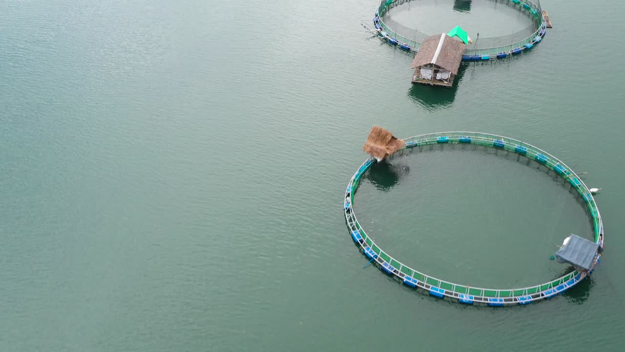 필리핀 루존에 있는 물고기와 새우를 위한 케이지가 있는 생선 농장. 고기, 우유 물고기를 위한 물고기 연못의 공중 사진