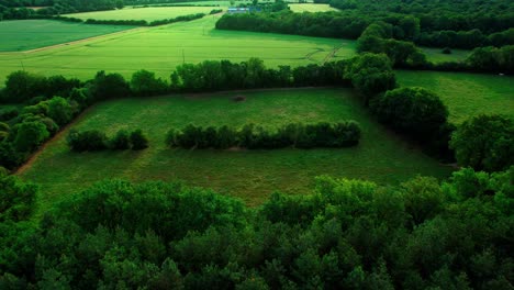 flying through plain with dense trees and green fields