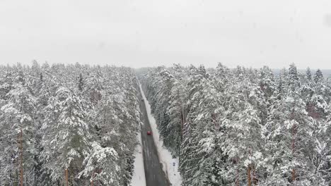 red car driving on woodland road during snowfall in winter season, aerial ascend view