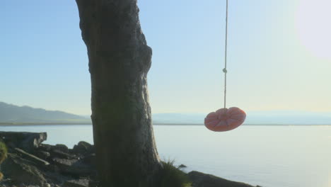 rope swing moving in the early morning autumn sunlight and tree trunk on shoreline with misty sea and background