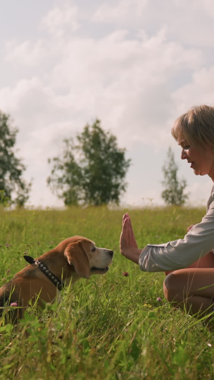 반려동물 애호가가 이 좋은 날, 울창한 초록색으로 둘러싸인 잔디에서 개와 손을 잡고, 여자와 함께 앉아서 개와 놀고 있다.
