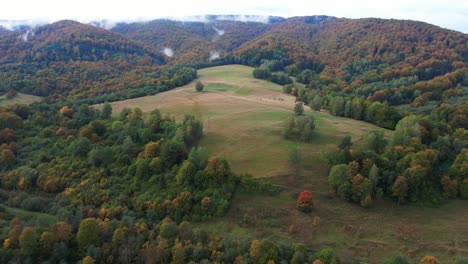 a huge, mysterious mountain, full of autumn colors, surrounded by fog