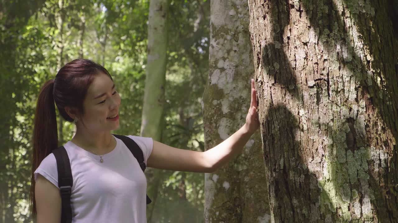 Asian Girl Hiker Touching Tree, Slow Motion