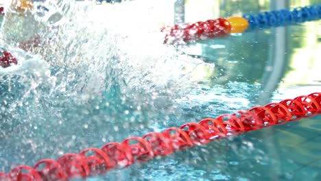 fit man diving into pool