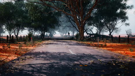 a long, dusty road through the australian outback
