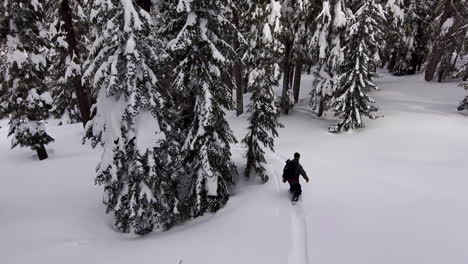 drone follows snowboarder through fresh snow covered winter trees