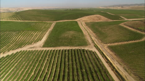 Helicopter-low-level-vista-aérea-of-Monterey-County-vineyards-California-1