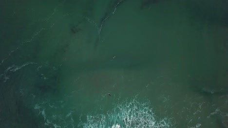 Progressive-zoom-away-shot-of-surfers.-Birds-eye-view-drone-shot
