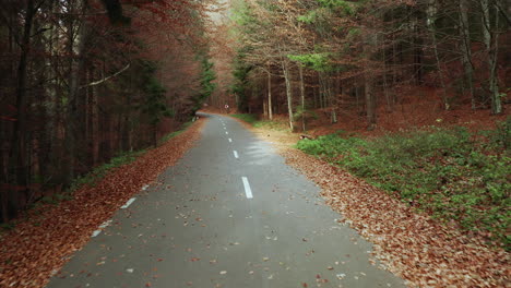 Sicht-Nach-Vorne-Auf-Eine-Leere-Herbstwald-Asphaltstraße-Voller-Brauner-Blätter