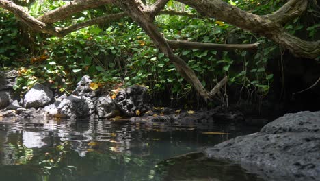 sol brillando sobre el agua fuera de una cueva volcánica en un estanque caliente de la selva