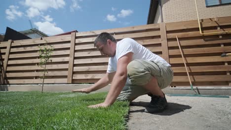 man laying sod grass in backyard garden for lawn installation and landscaping project, focused on home improvement and outdoor maintenance for a fresh, green lawn in a residential yard