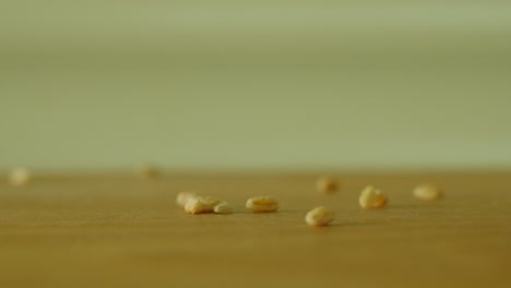 grains of wheat, slow motion close-up falling in a pile