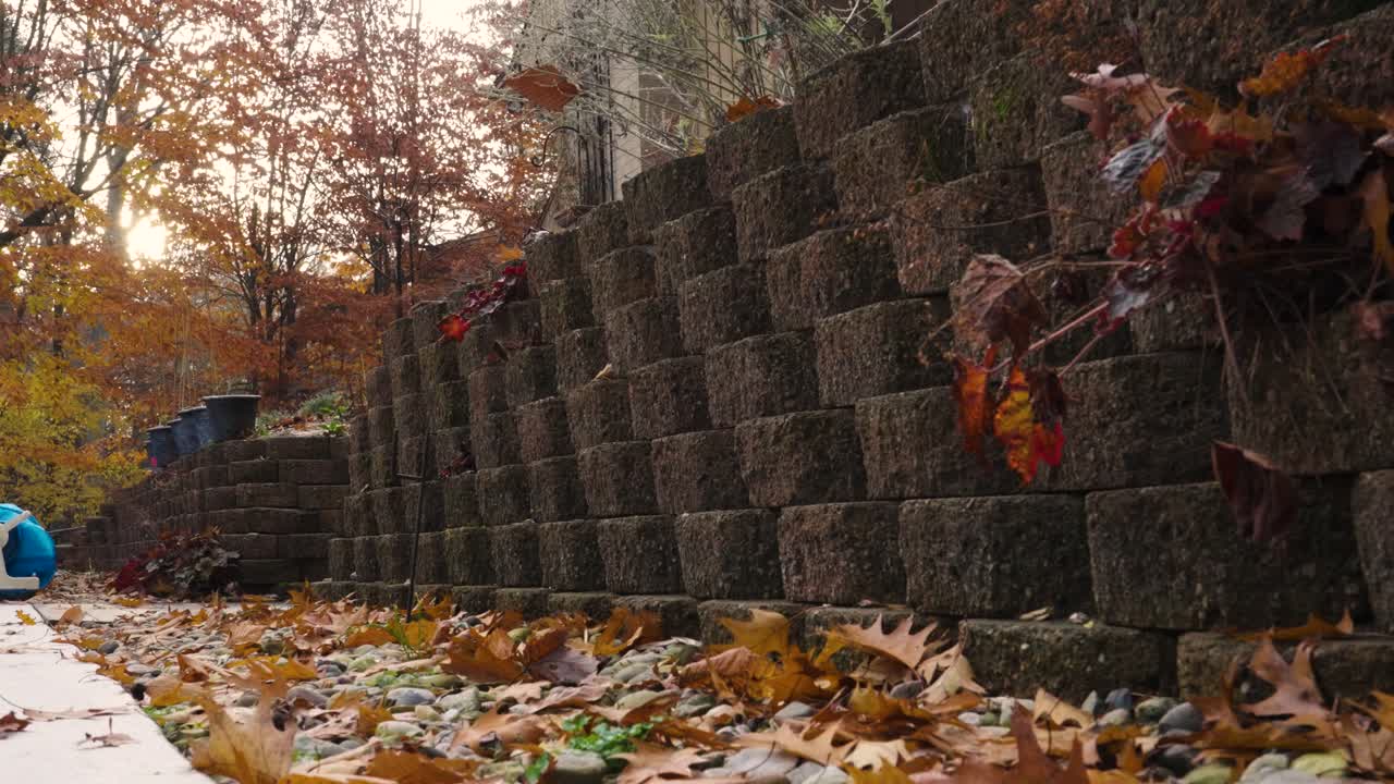 Leaves falling softly into frame.