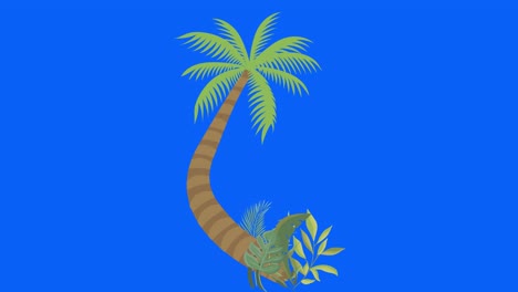 palm tree moving by wind, chroma key, seamless loop animation