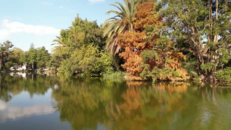 Aerial-Obrital-of-Wooded-Lake-Shore-of-Paseo-del-Bosque,-La-Plata-City,-Argentina