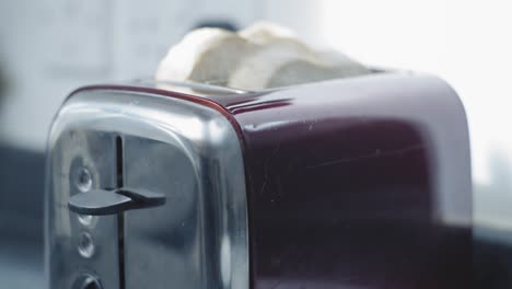 prepareing toast in a home kitchen-1