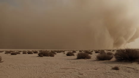 tormenta de arena en el desierto