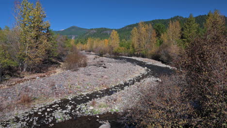 río pedregoso con árboles coloridos en el centro de california durante la temporada de otoño - tiro estático