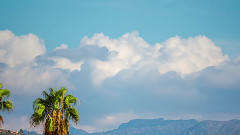 palmera de cerca, nubes esponjosas sobre la montaña de málaga, el lapso de tiempo del clima tropical
