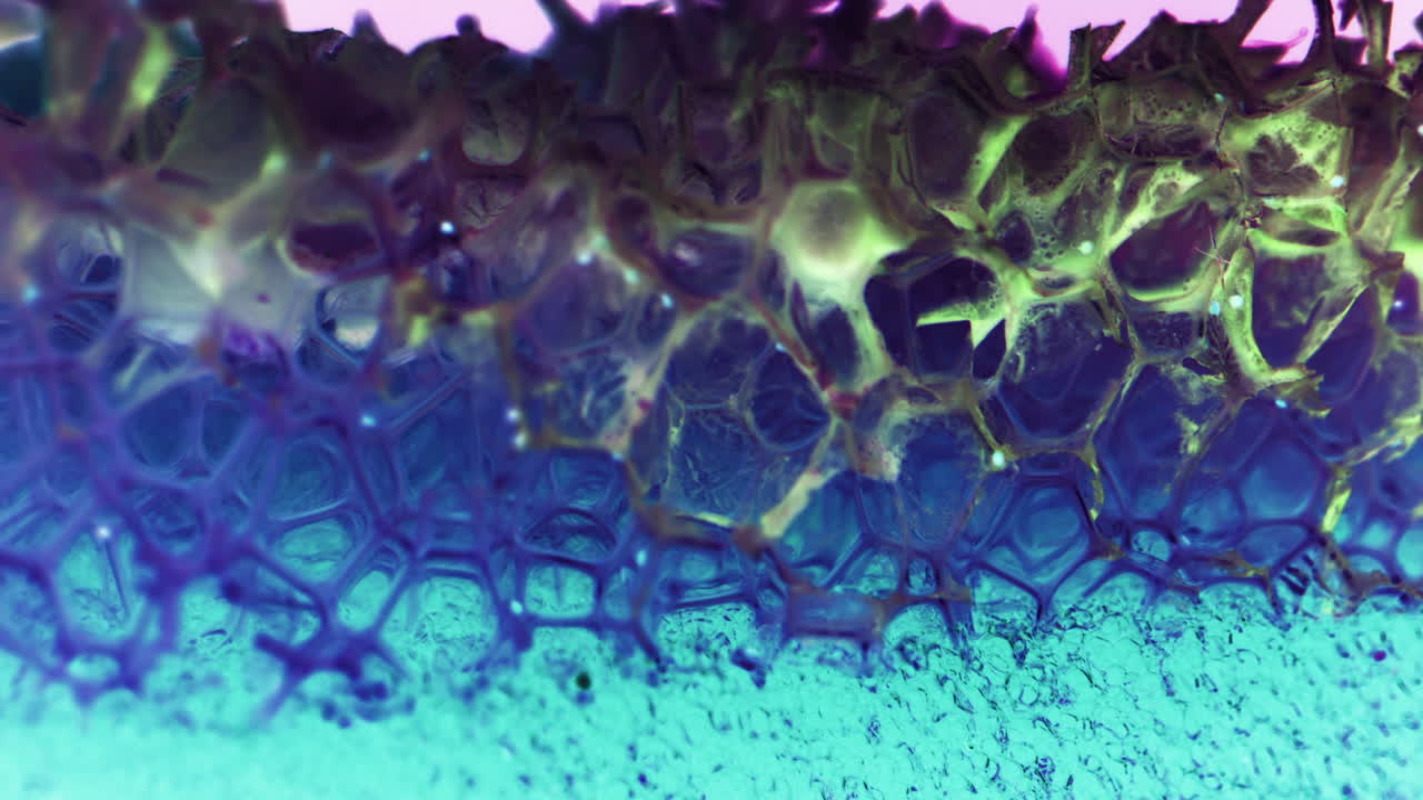 Microscopic View of a Cellular Structure