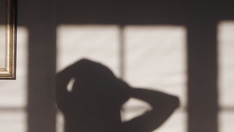 shadow of woman brushing hair at home