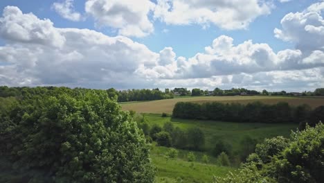 reveal of fields and trees by a drone flytrough