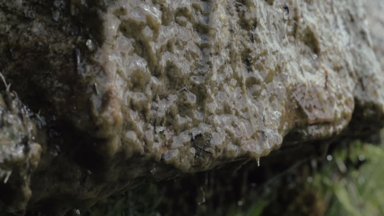 Rain water dripping down a rock formation tilting close up shot