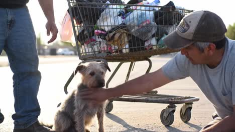a heartwarming encounter: two people comforting a stray dog beside a shopping cart overflowing with trash in a sunlit urban setting