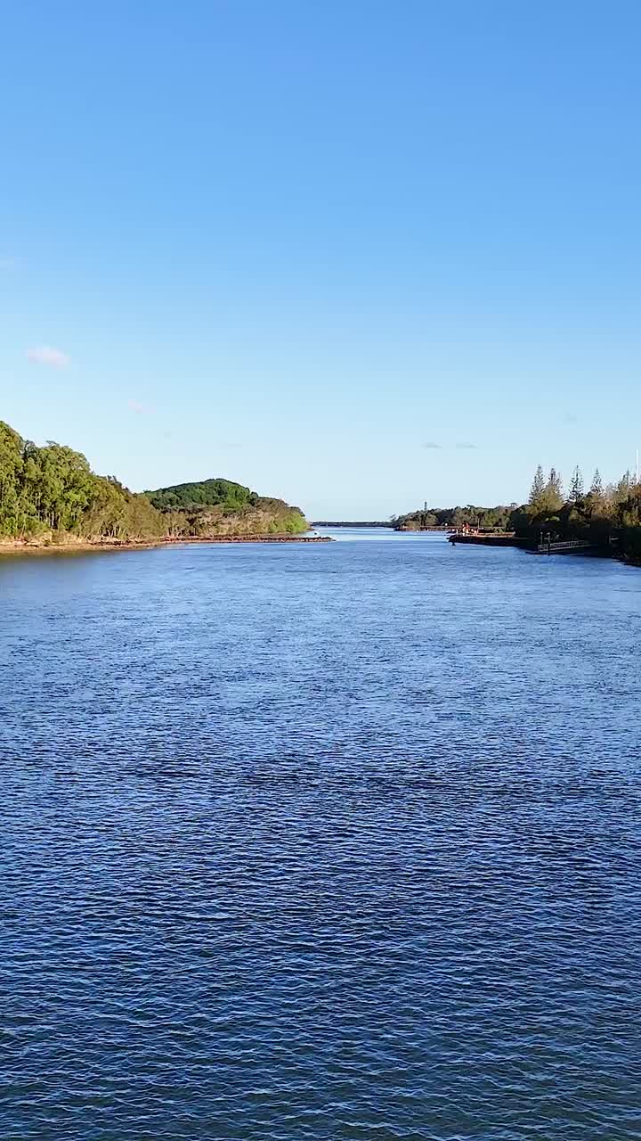 un río tranquilo que fluye a través de un paisaje verde exuberante