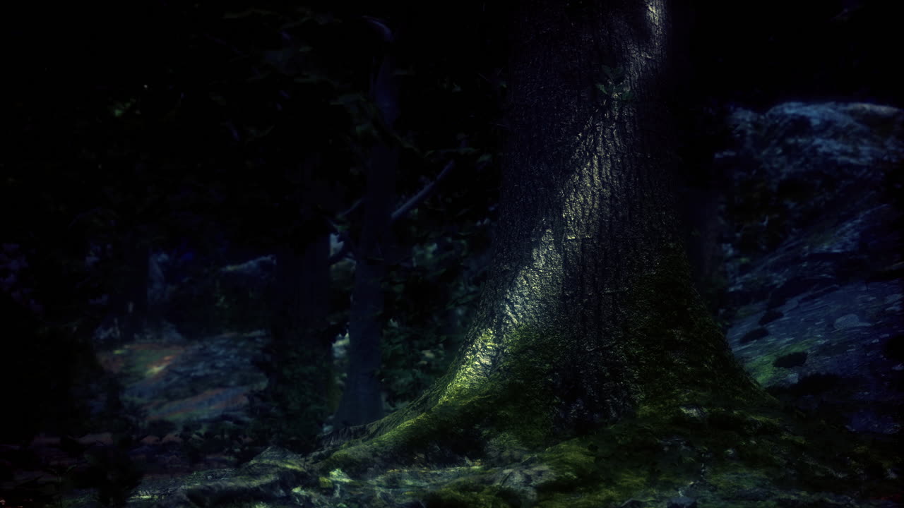 Mysterious forest scene with illuminated tree trunk during night time