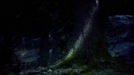 mysterious forest scene with illuminated tree trunk during night time