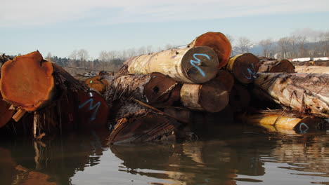 Stapel-Markierter-Baumstämme,-Die-Im-Fluss-Schwimmen,-Mit-Der-Stadt-Im-Hintergrund