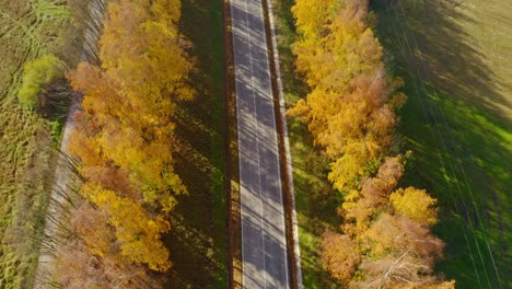 Recorrido-Panorámico-Por-Caminos-Rurales-A-Través-De-árboles-Otoñales-En-Eslovaquia