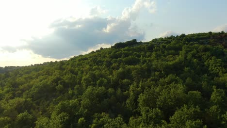 orchard terraces and vegetation at the edge of lake butoniga water reservoir in croatia, aerial drone pan right reveal shot