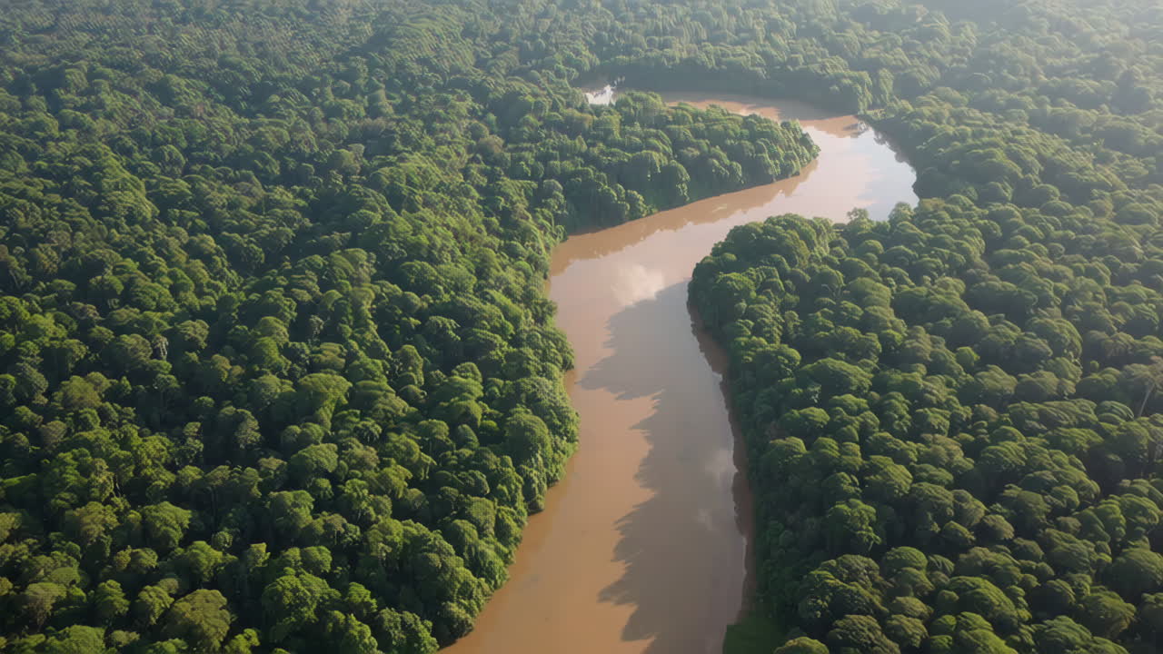 Aerial View of a River Winding Through a Lush Rainforest