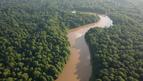aerial view of a river winding through a lush rainforest