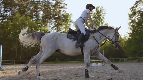 the girl is engaged in show jumping and horseback riding. she demonstrates professional skills in the hurdle race with a horse.