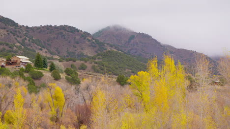 colores de otoño, árboles y agua en un día nublado sobre el área de heise en el este de idaho