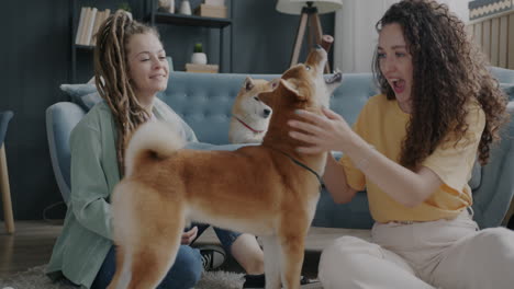 two women playing with shiba inu dogs at home