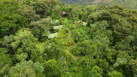 vista aérea alejándose de tiro, casas en medio de la selva tropical de la tigra en costa rica, vista panorámica del bosque en un día soleado