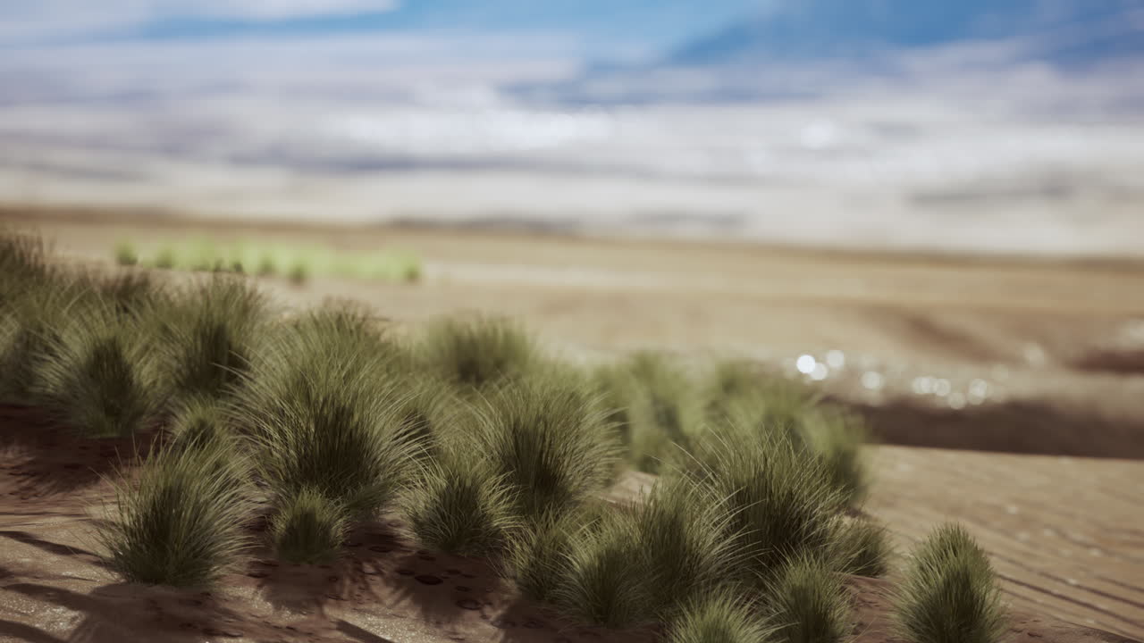 중앙 아시아 의 사막 에 있는 아름다운 노란색 오렌지 모래 모래 언덕