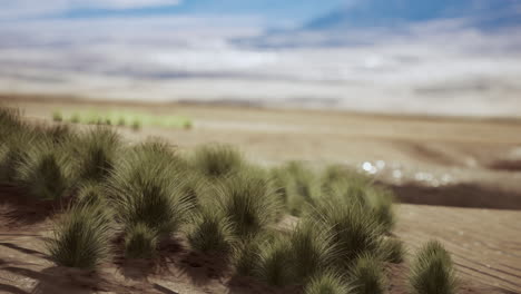 hermosa duna de arena naranja amarilla en el desierto de asia central