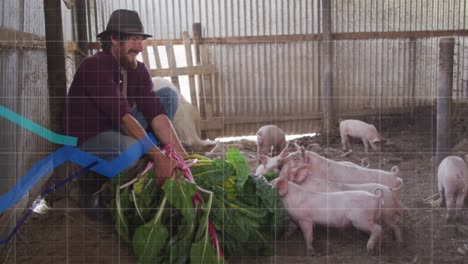 animation of financial data processing over caucasian man feeding pigs